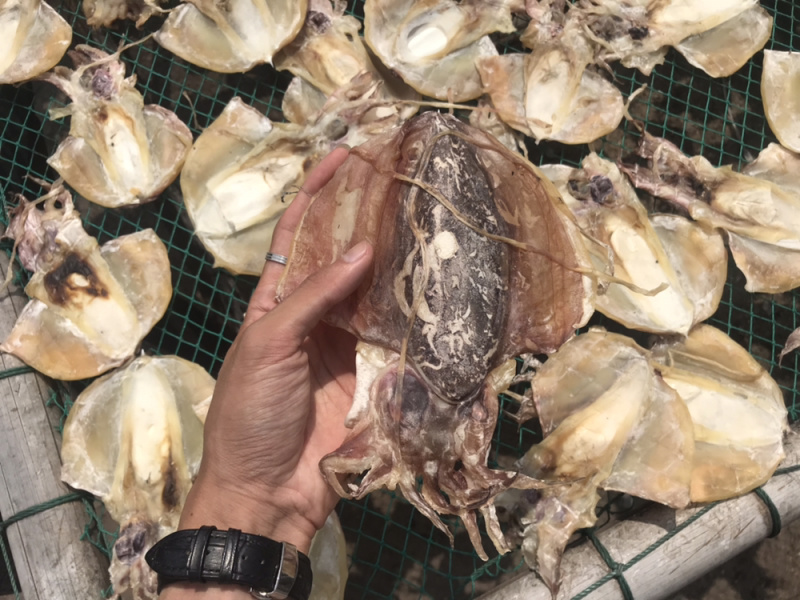 北海墨鱼干