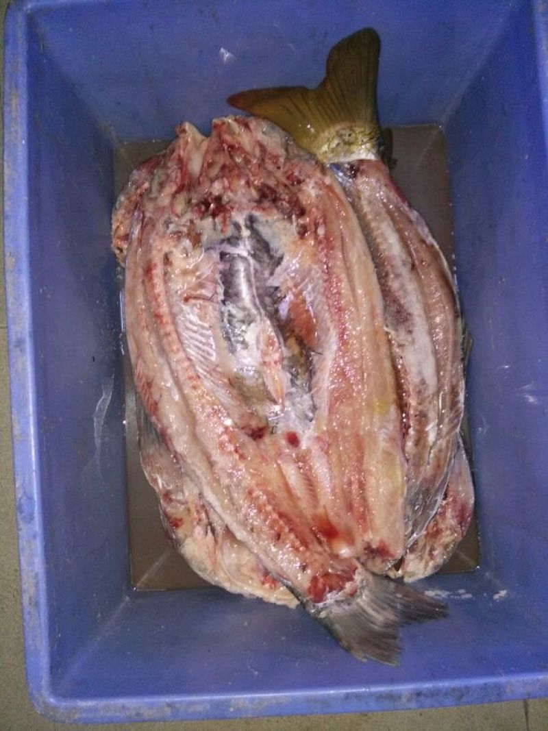 鲤鱼干