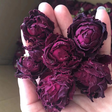玫瑰花云南冻干墨红玫瑰花干花茶