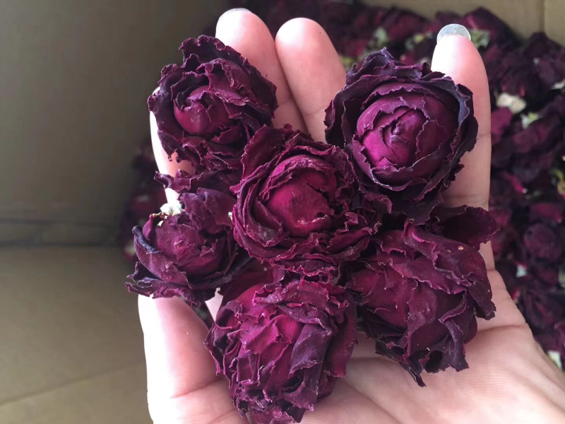 玫瑰花云南冻干墨红玫瑰花干花茶