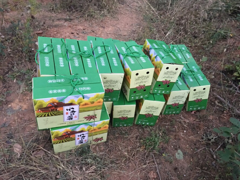 西瓜红批发