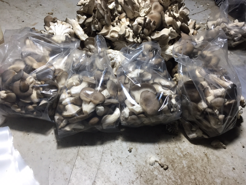平价交易进行时。生产者直销。