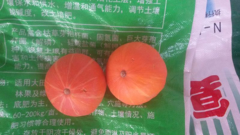 南瓜2~3斤以上扁圆形
