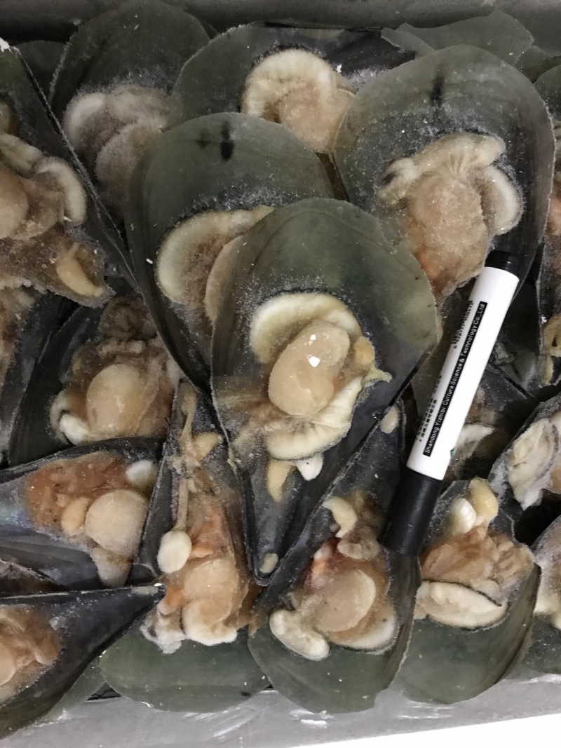 活冻半壳江瑶贝鲜带子半壳绿贝冷冻瑶柱贝烧烤自助餐