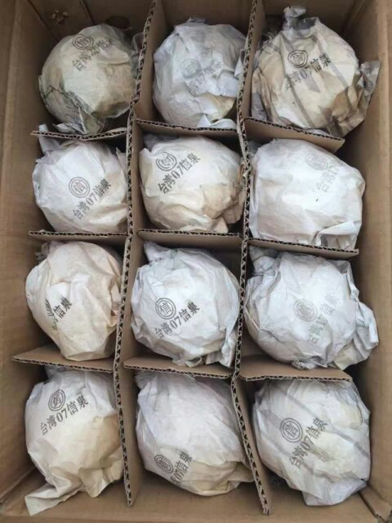 砀山梨250~300g纸袋