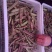 紫花油豆20厘米以上，产地直发，代收，代发全国各地