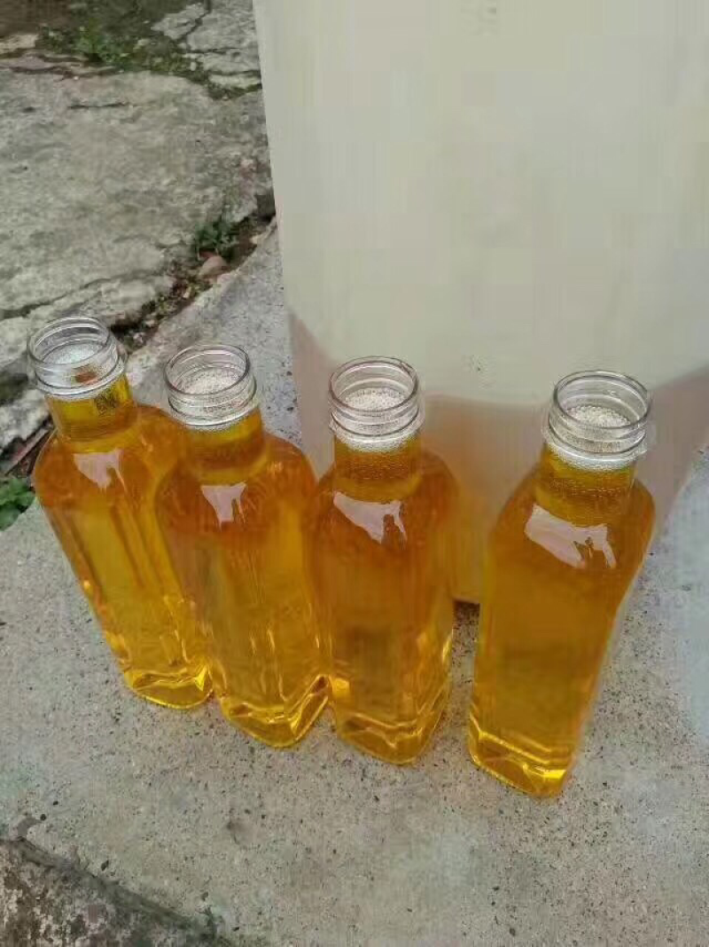 广西纯野生小茶压榨山茶籽果油老茶籽树茶籽油20斤包邮