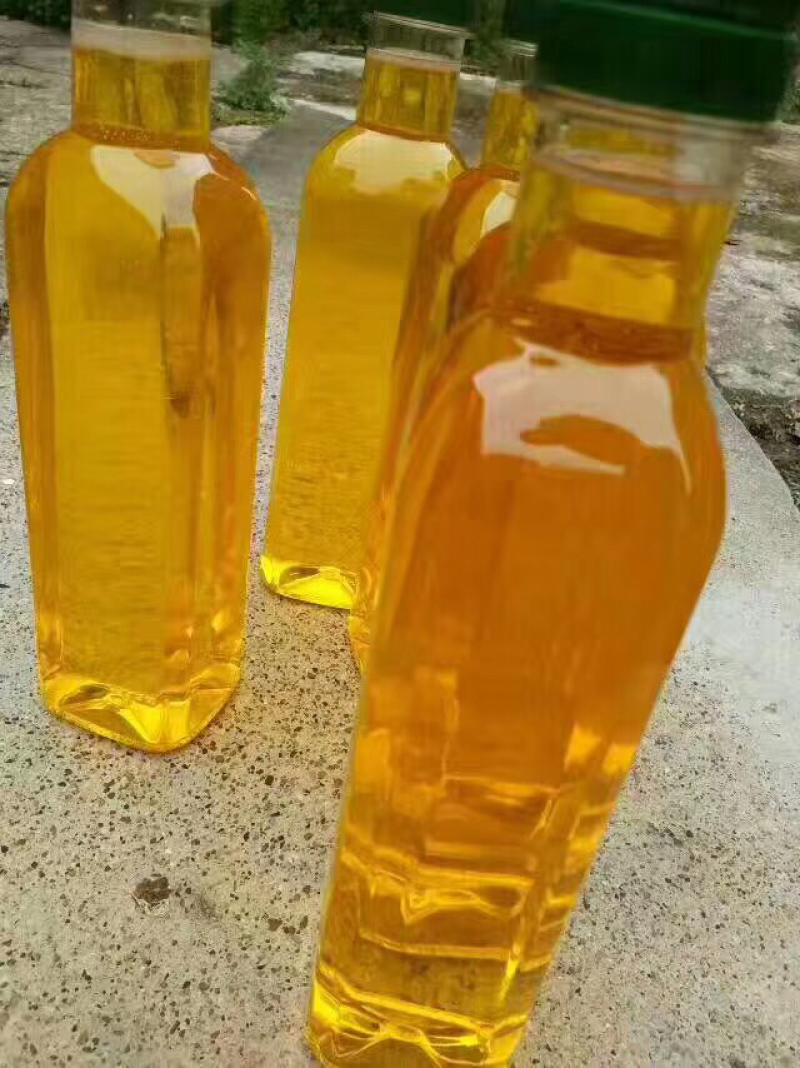 广西纯野生小茶压榨山茶籽果油老茶籽树茶籽油20斤包邮