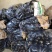 精品765二茄，新鲜现货。单个20公分以上高品质