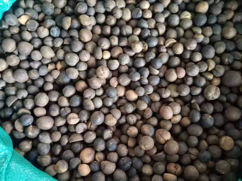 茶子