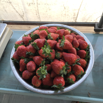 草莓，嘉善本地草莓，红叶等