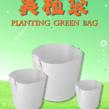 植树袋美植带，育苗袋。无纺布袋无纺布育苗容器