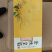 金丝皇菊
