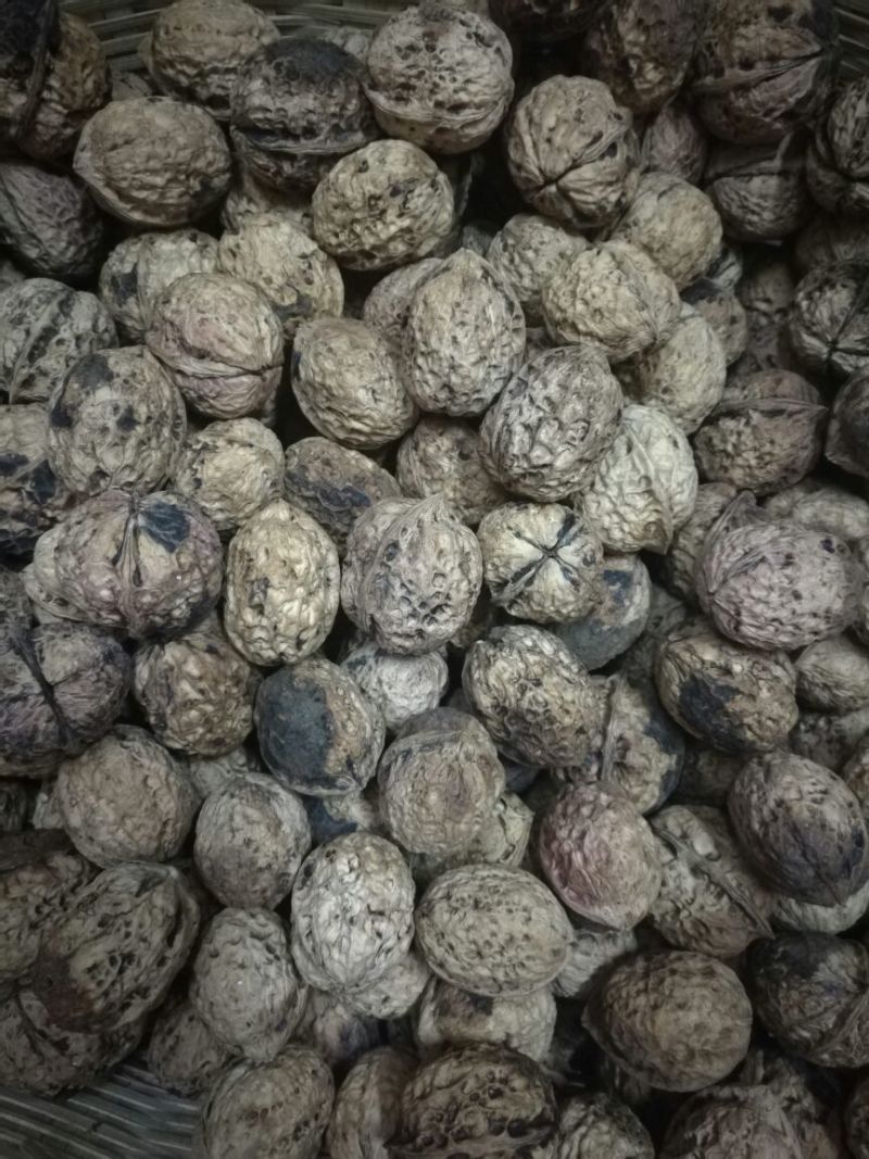 大泡核桃云南大理漾濞核桃