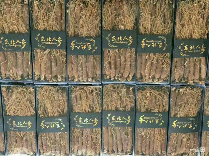 红参