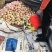 红富士苹果75mm以上膜袋，脆甜可口，万亩基地大量有