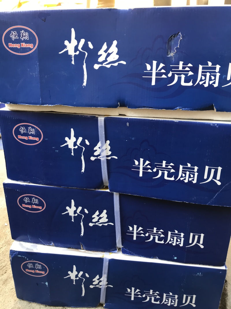 半壳粉丝扇贝蒜蓉扇贝海鲜虾夷扇贝半壳大扇贝烧烤海鲜