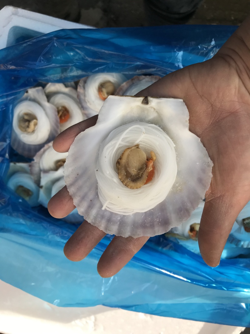 半壳粉丝扇贝蒜蓉扇贝海鲜虾夷扇贝半壳大扇贝烧烤海鲜