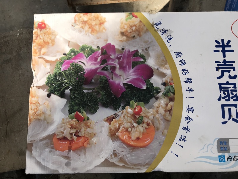 半壳粉丝扇贝蒜蓉扇贝海鲜虾夷扇贝半壳大扇贝烧烤海鲜