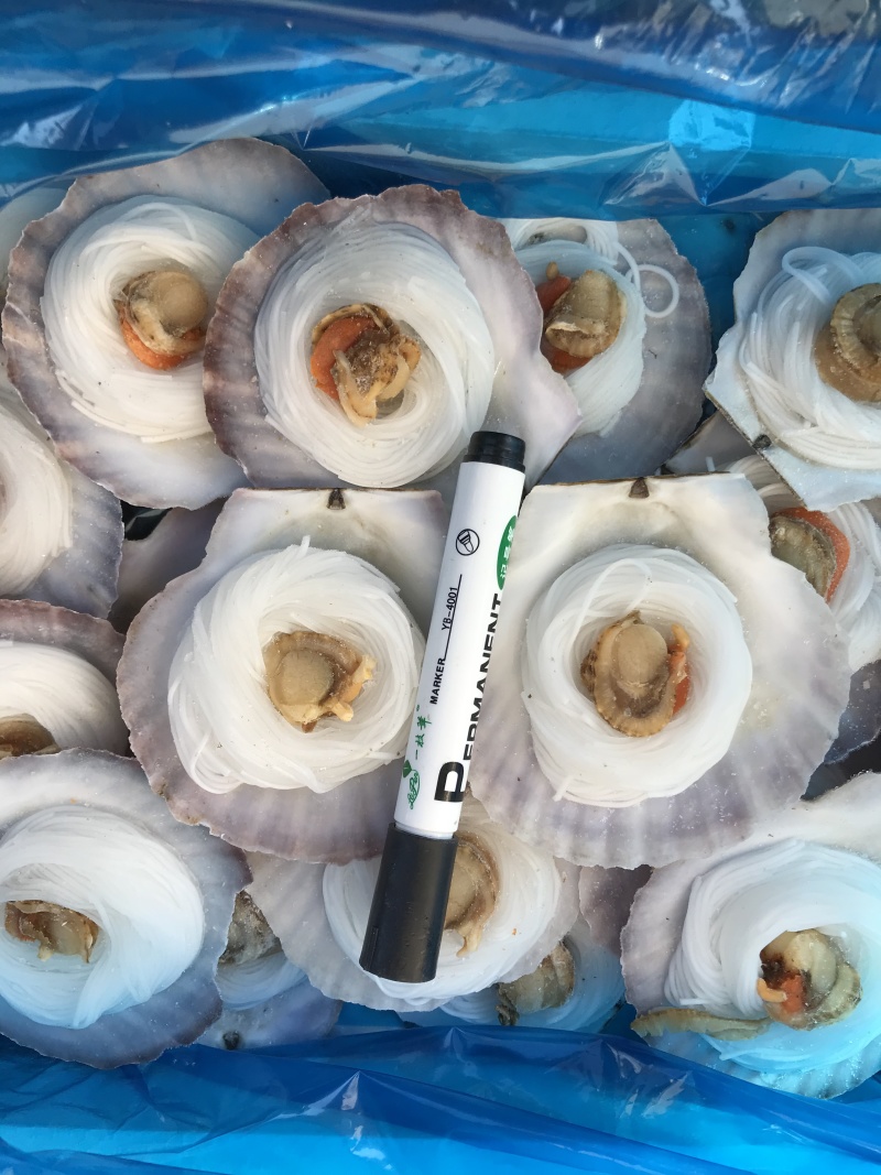 半壳粉丝扇贝蒜蓉扇贝海鲜虾夷扇贝半壳大扇贝烧烤海鲜