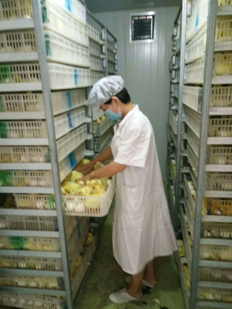 鹅苗250g