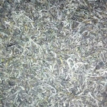 百年大树茶一级