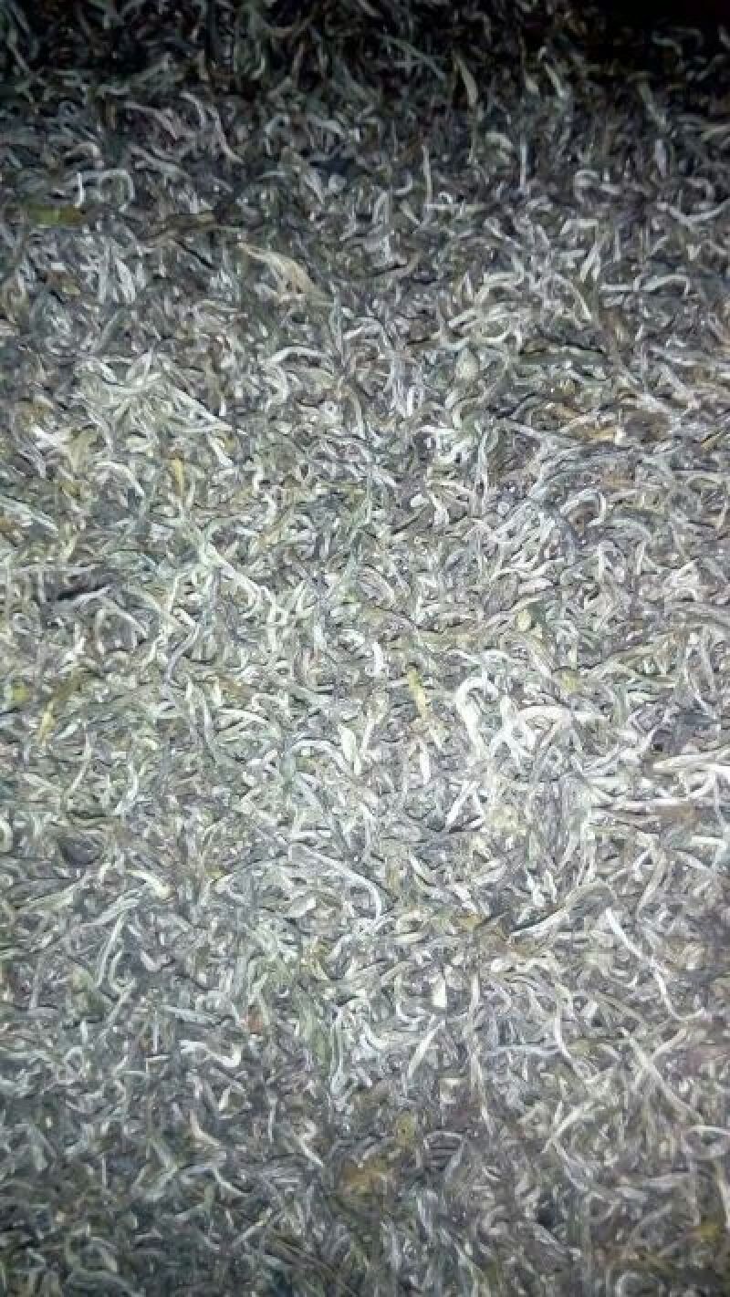百年大树茶一级