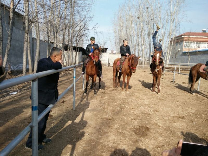 肉马