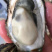 生蚝便宜批发，大量有货。！！！！！！！！！