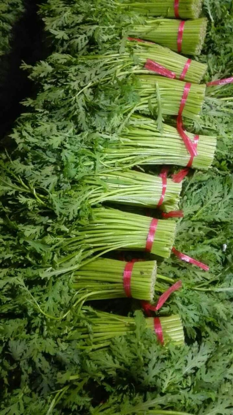 茼蒿25~30cm潍坊蒿子秆供应商超各大平台