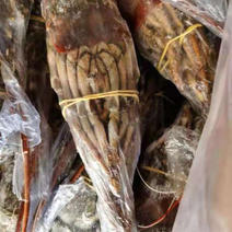 年尾清库存南非速冻龙虾有220kg左右