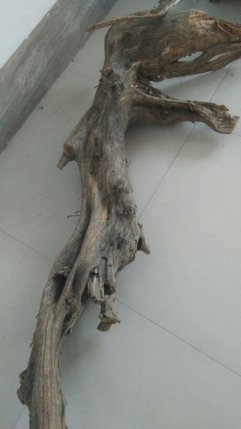 毛石
