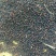 油菜籽1
