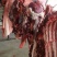 驴肉