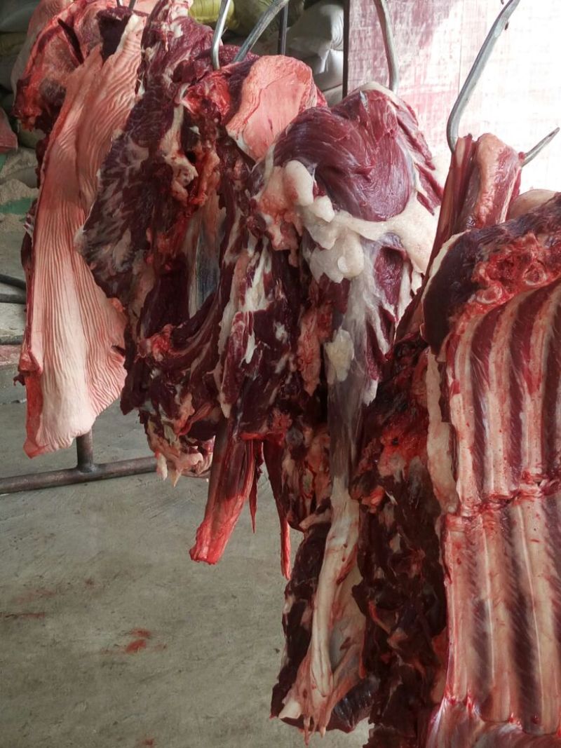 驴肉