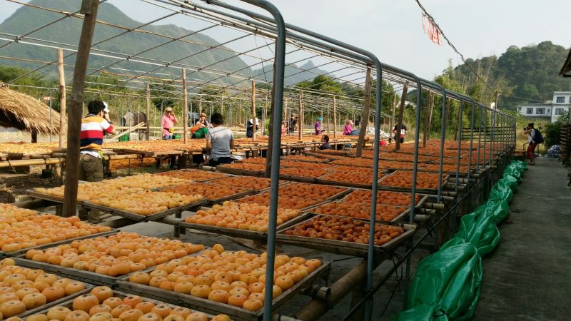 柿饼1~2两