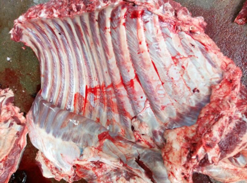驴肉鲜货