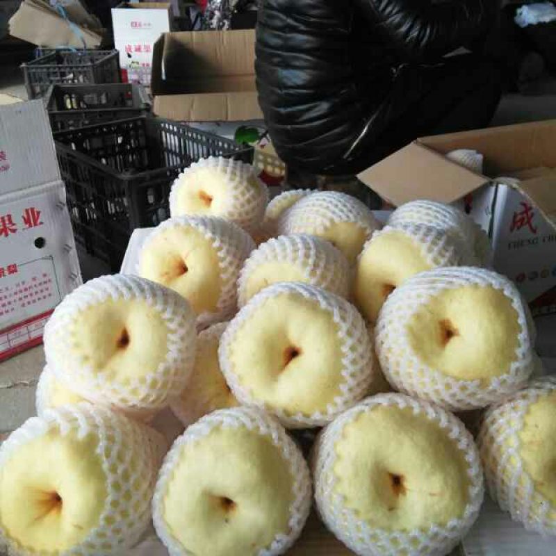 酥梨250~300g纸袋
