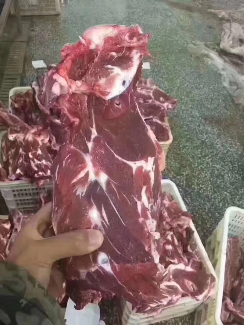 肉多牛脖骨，牛脖骨，牛脖骨锯段，一件起发，量大从优。