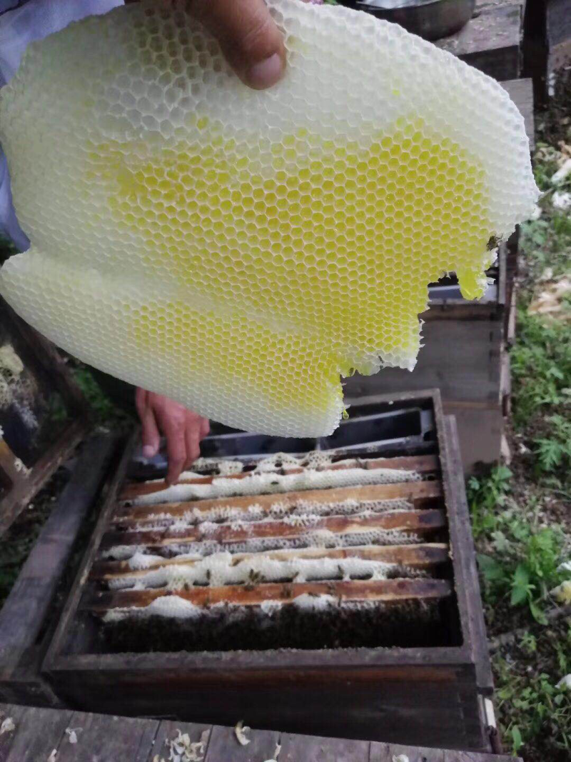 蜂蜜天然