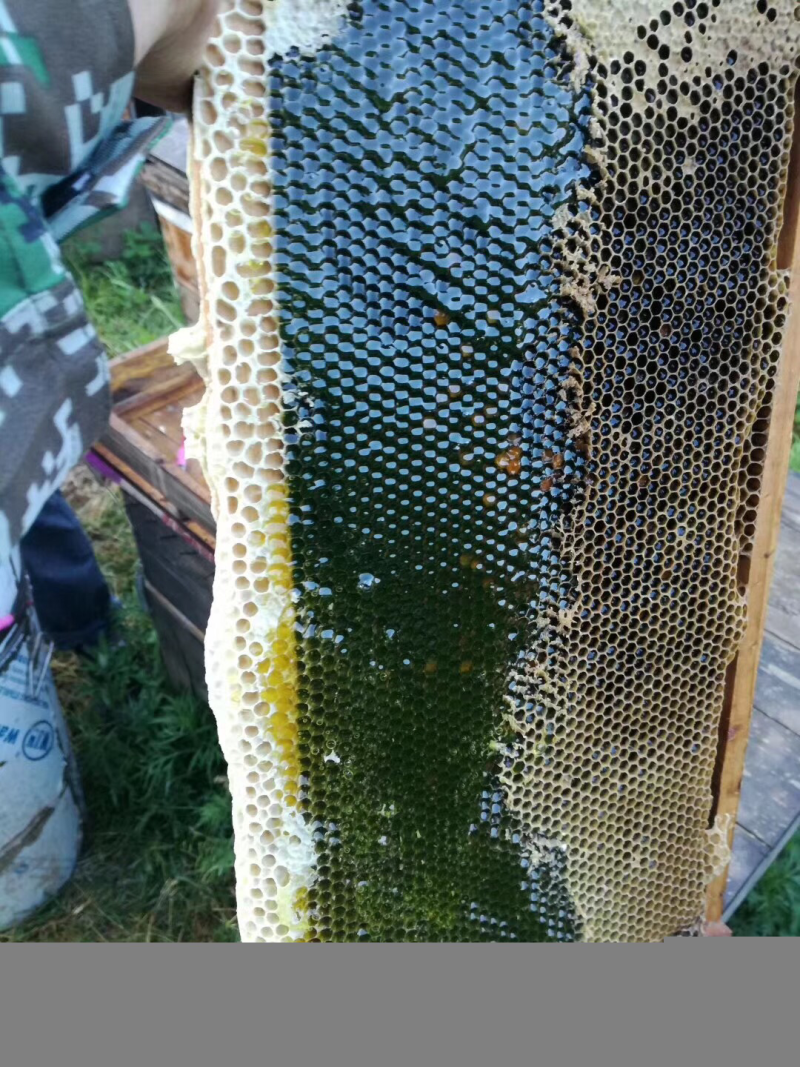 蜂蜜天然