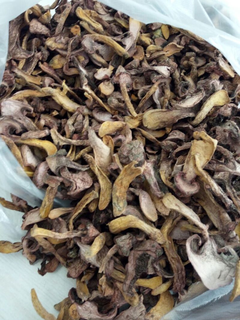 红蘑菇特级4cm