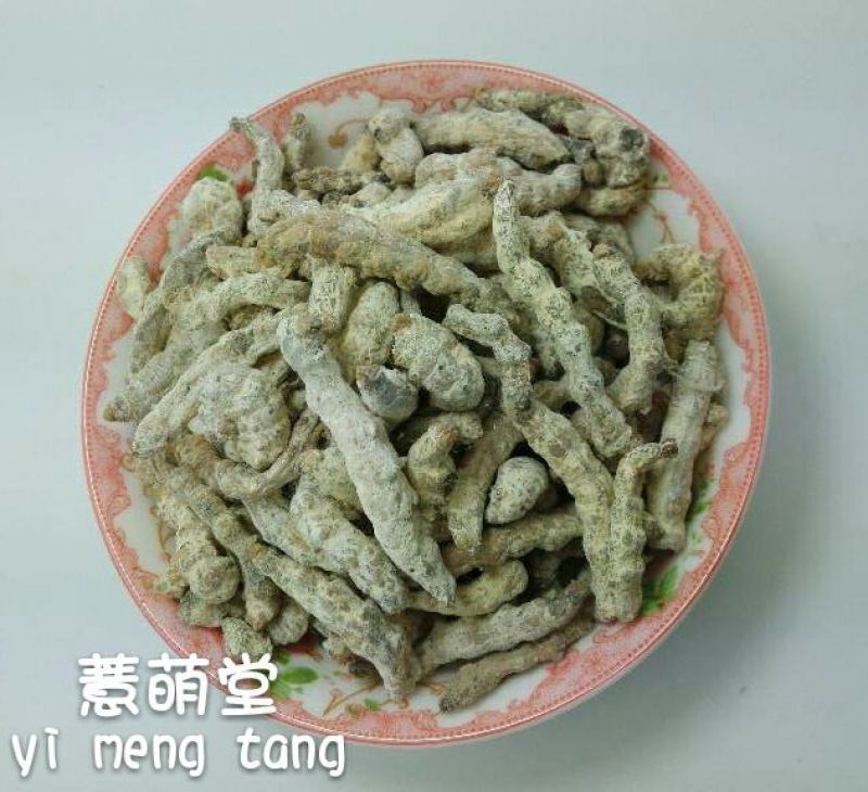 僵蚕
