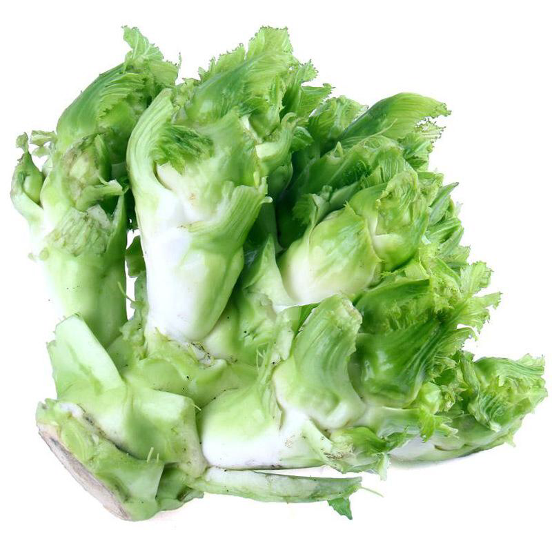 儿菜大量现货基地直供