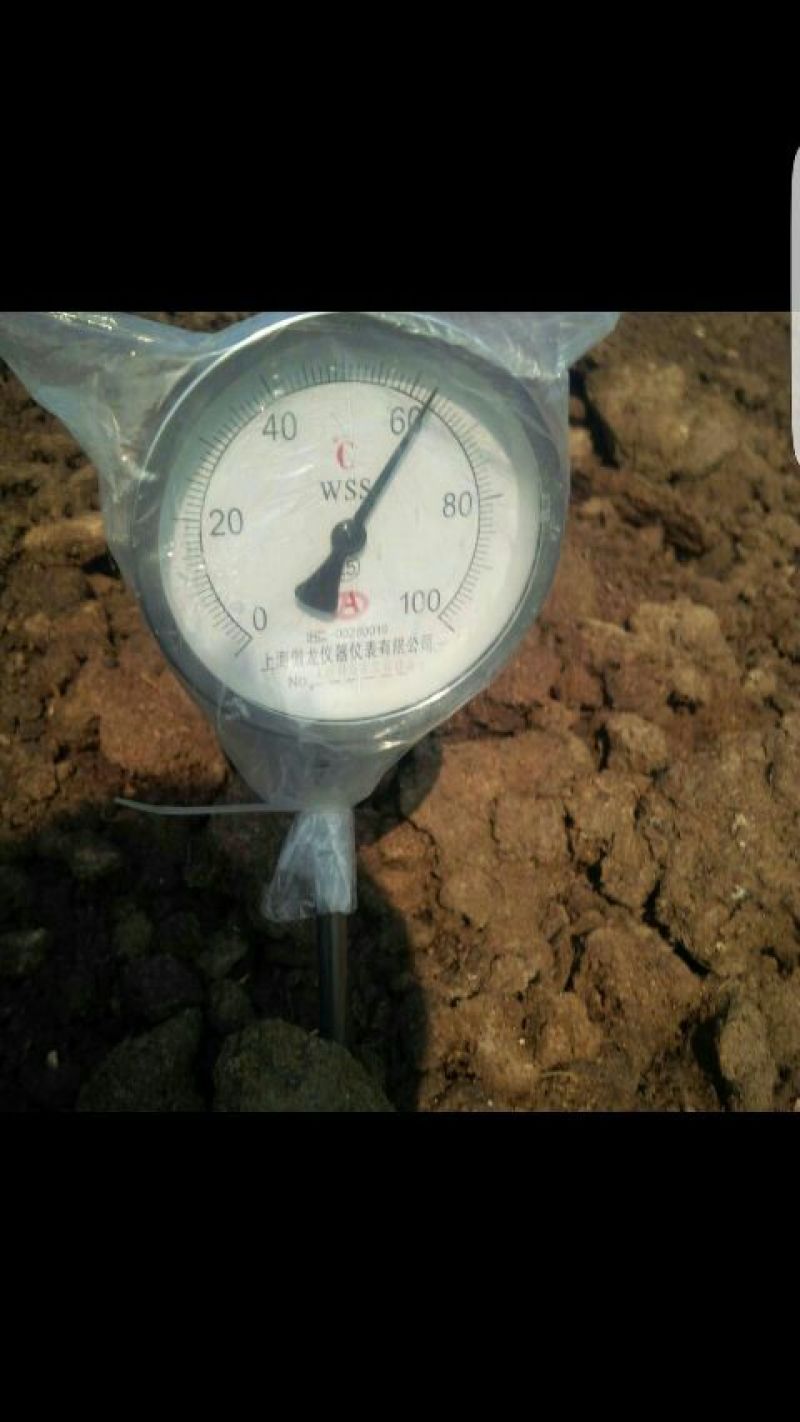 唐谷禽畜粪羊粪40kg(袋装)