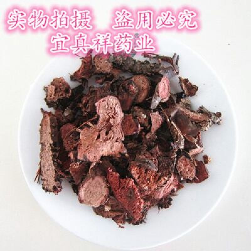 红景天