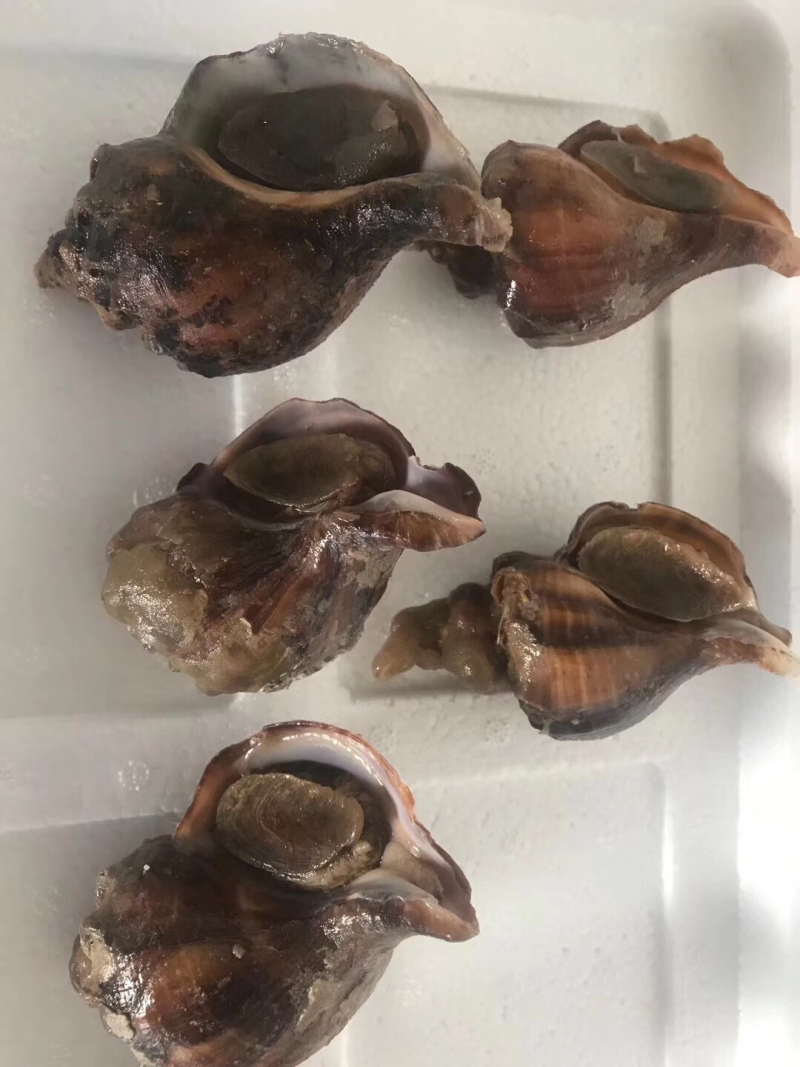 水产