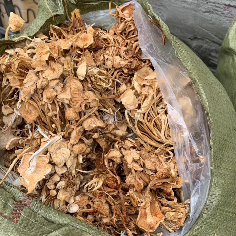 2020年新品茶树菇，黄花菜一件20斤品质好，价格实惠，