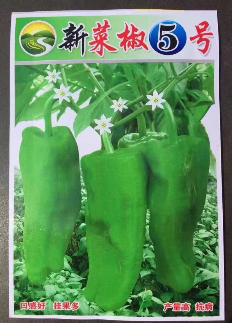 菜种子，品种齐全，现货供应下单秒发一手货源价格美丽