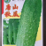 菜种子，品种齐全，现货供应下单秒发一手货源价格美丽